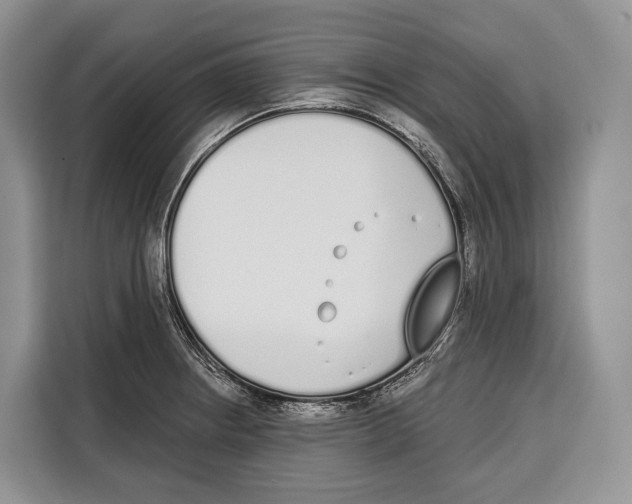 X0000115111234200911241321