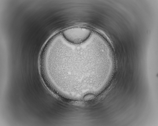 X0000115111235200911241321