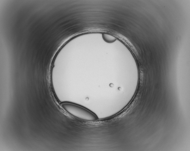 X0000115111236200911241321