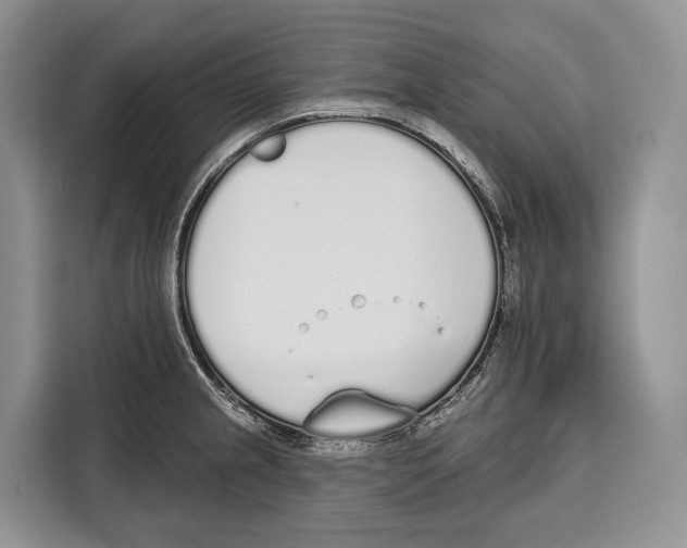 X0000115111237200911241321