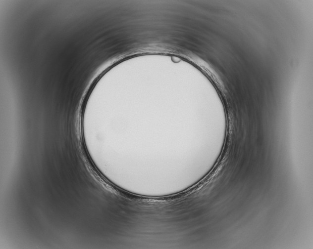 X0000115111238200911241321