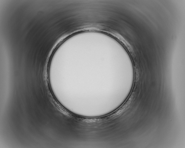 X0000115111240200911241321