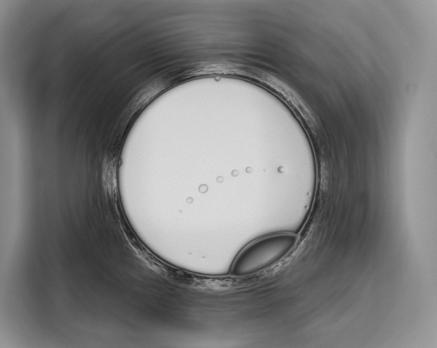 X0000115111241200911241321