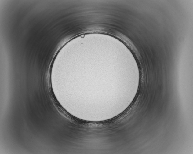 X0000115111242200911241321