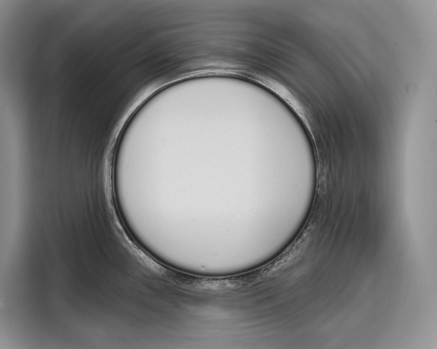 X0000115111243200911241321