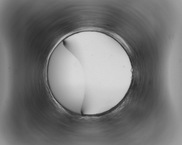 X0000115111244200911241321