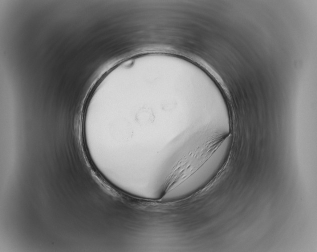 X0000115111245200911241321