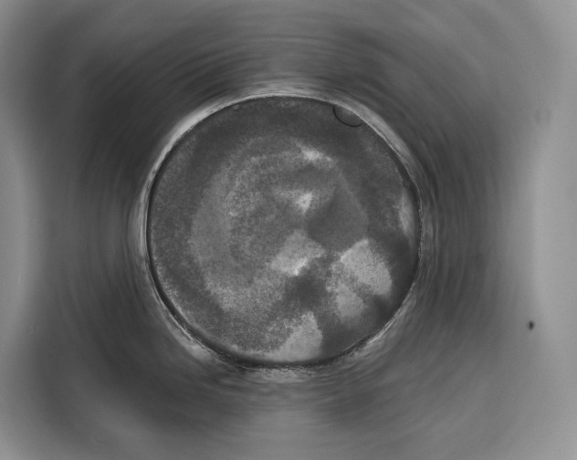 X0000115111246200911241321