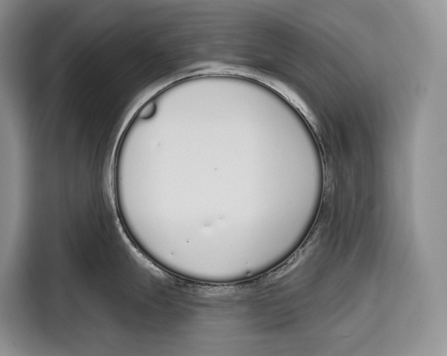 X0000115111247200911241321