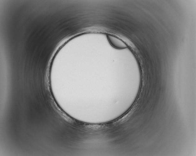 X0000115111248200911241321