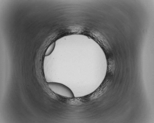 X0000115111249200911241320