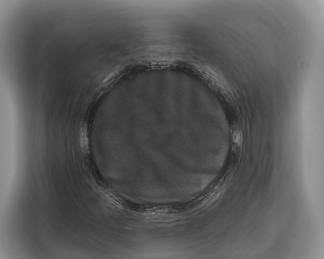 X0000115111252200911241320