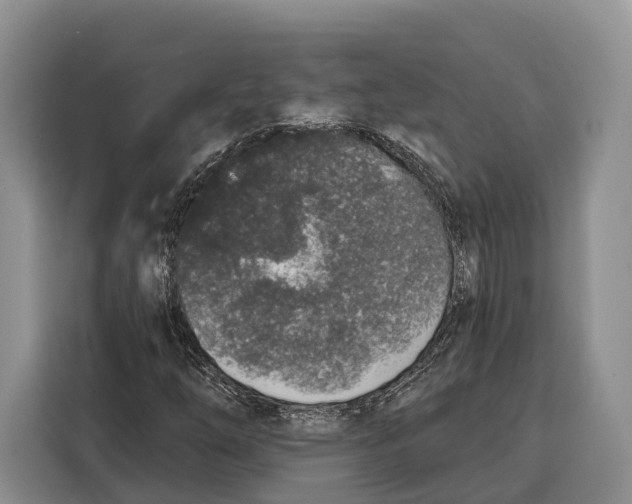 X0000115111254200911241320