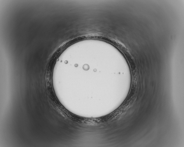 X0000115111255200911241320