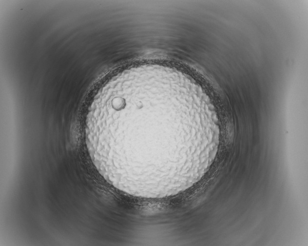 X0000115111266200911241320