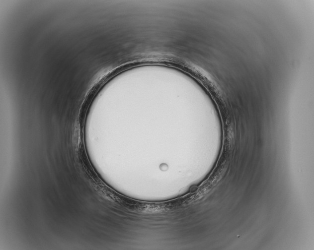 X0000115111267200911241320