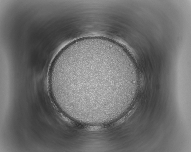 X0000115111278200911241320