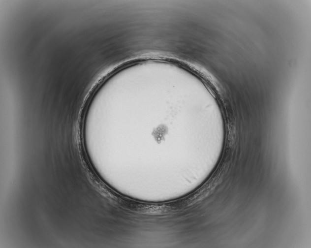 X0000115111279200911241320