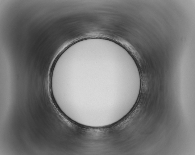 X0000115111286200911241320