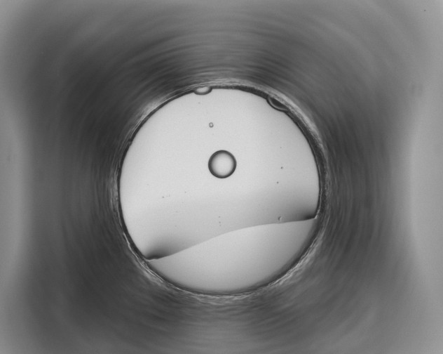 X0000115111289200911241320