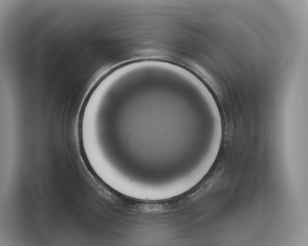 X0000115111291200911241320