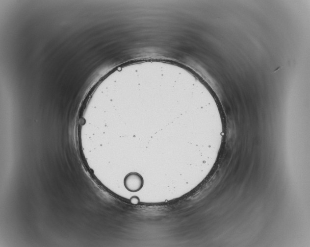 X0000115111293200911241320