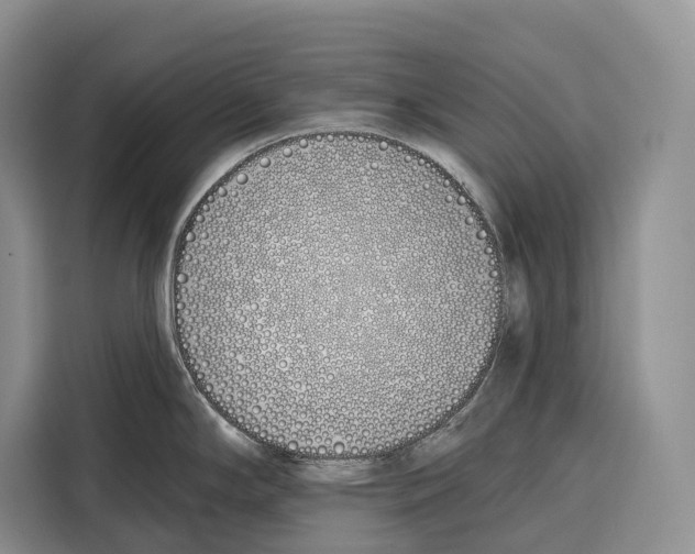 X0000115111294200911241320