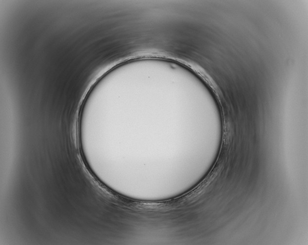 X0000115111295200911241320