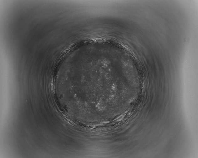 X0000115111298200911241319