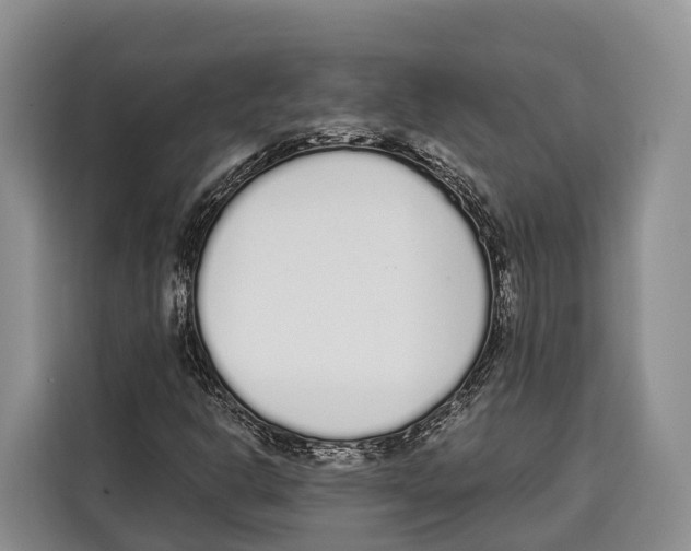 X0000115111302200911241319