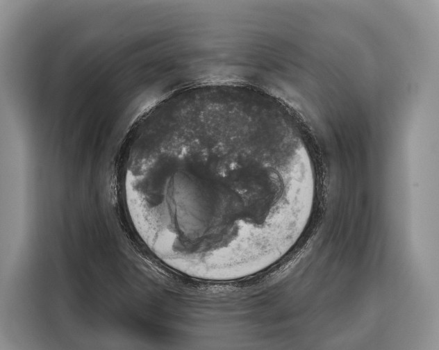 X0000115111306200911241319