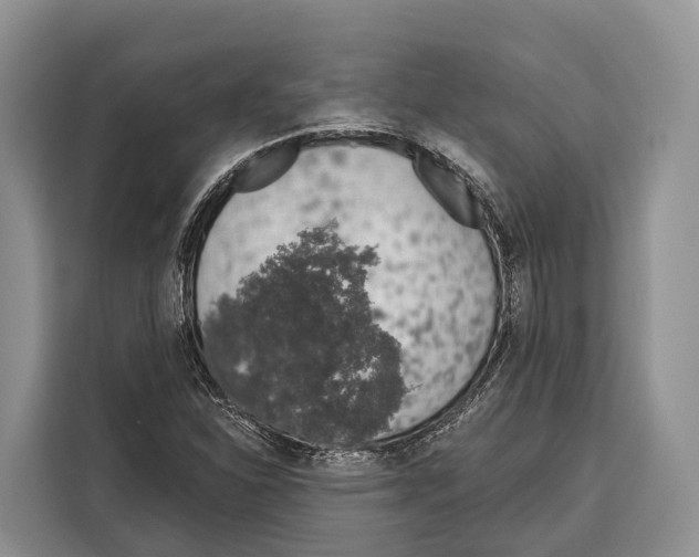 X0000115111310200911241319