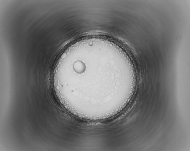 X0000115111313200911241319