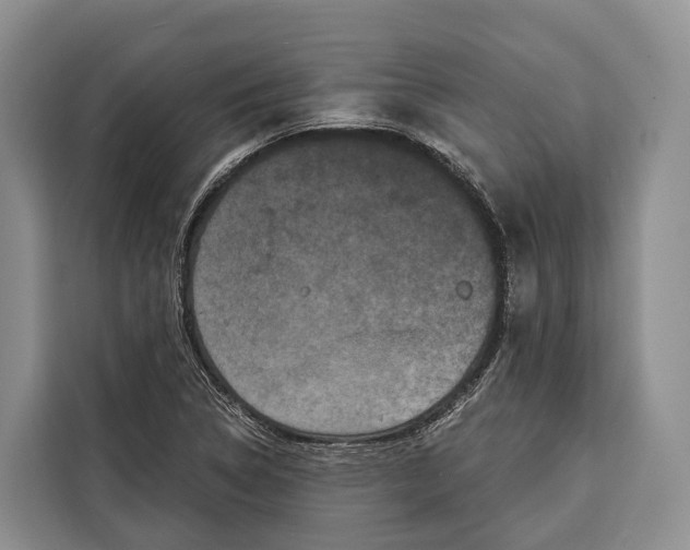 X0000115111314200911241319