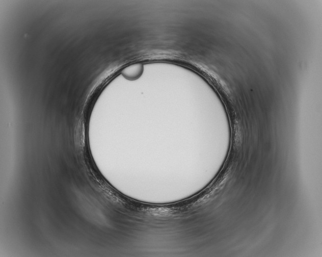 X0000115111317200911241319