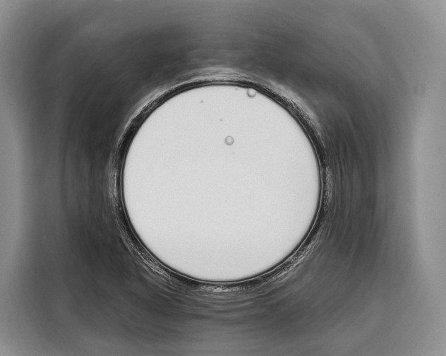 X0000115111318200911241319
