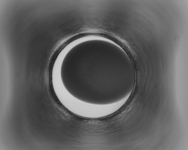 X0000115111319200911241319