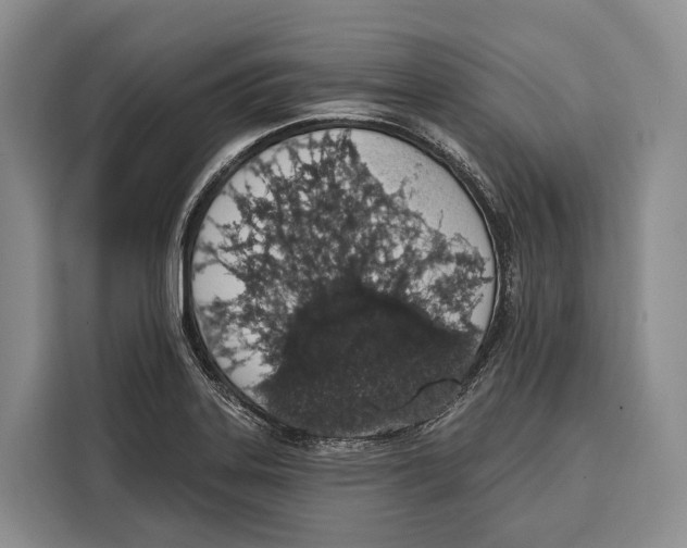 X0000115111323200911241319