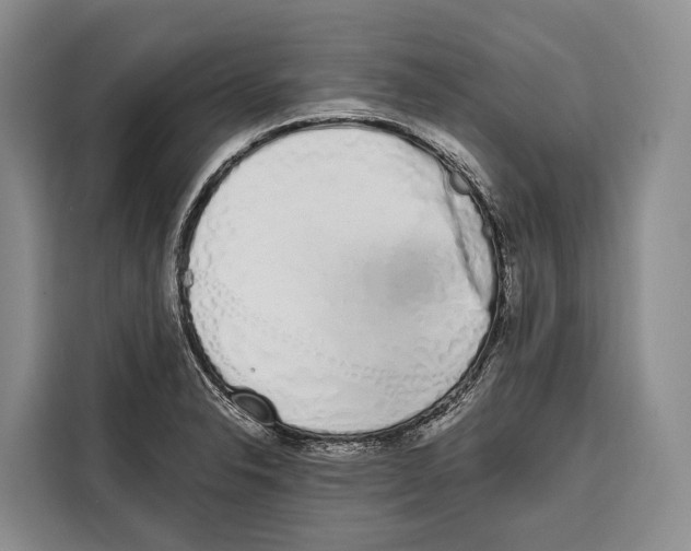 X0000115111326200911241319