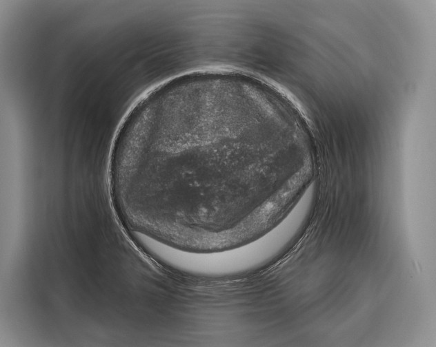 X0000115111327200911241319