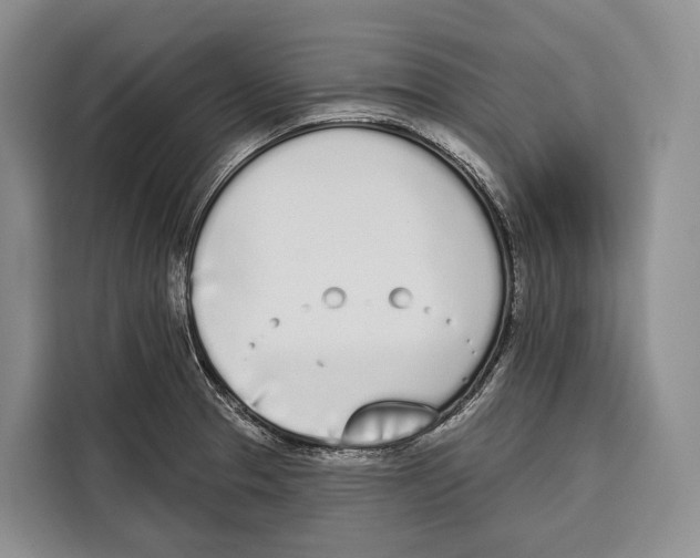 X0000115111329200911241319