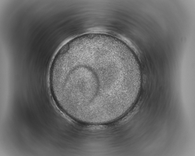 X0000115111331200911241319