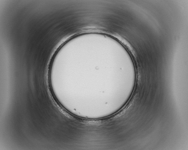 X0000115111333200911241319