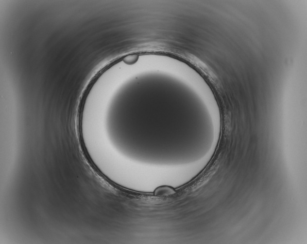 X0000115111334200911241319