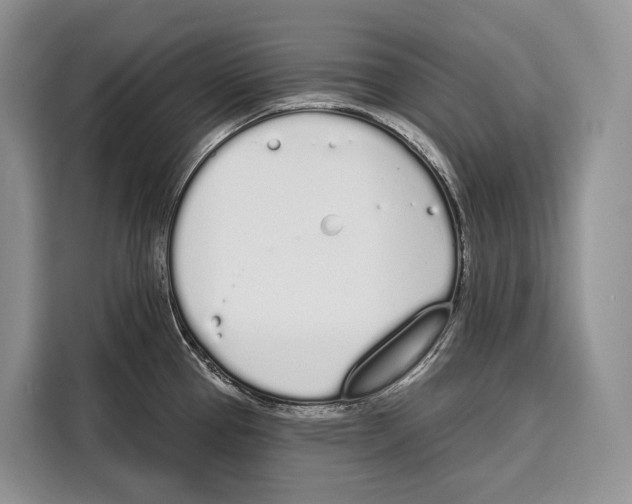 X0000115111337200911241319