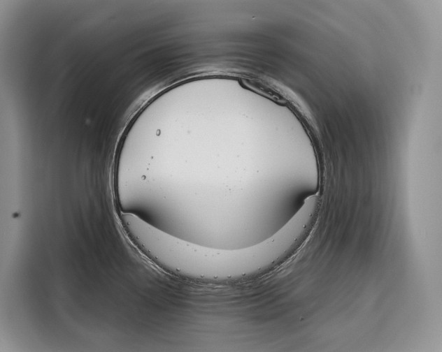 X0000115111338200911241319