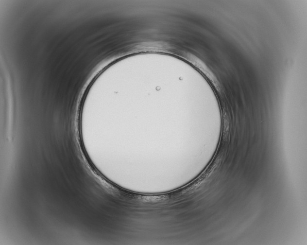 X0000115111339200911241319