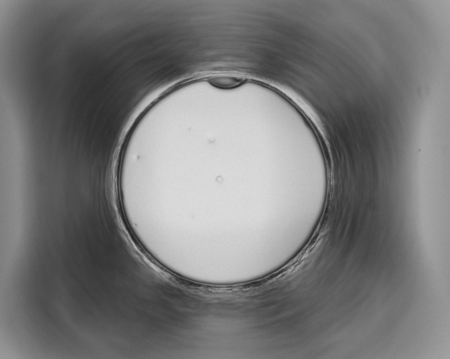 X0000115111341200911241319