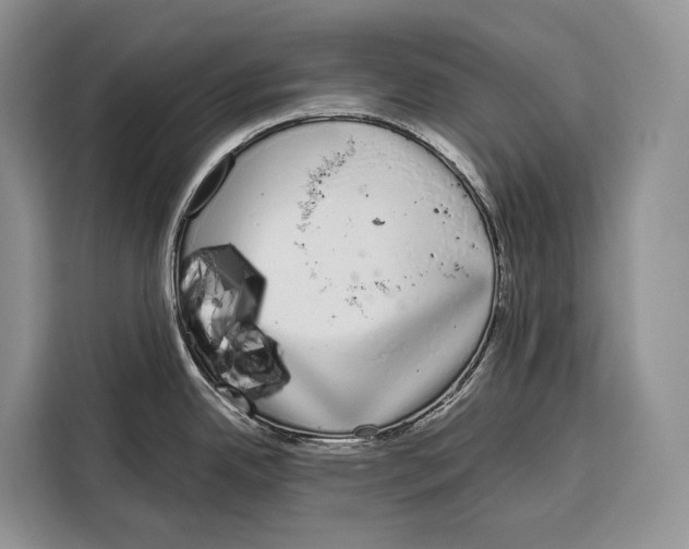 X0000115111342200911241319