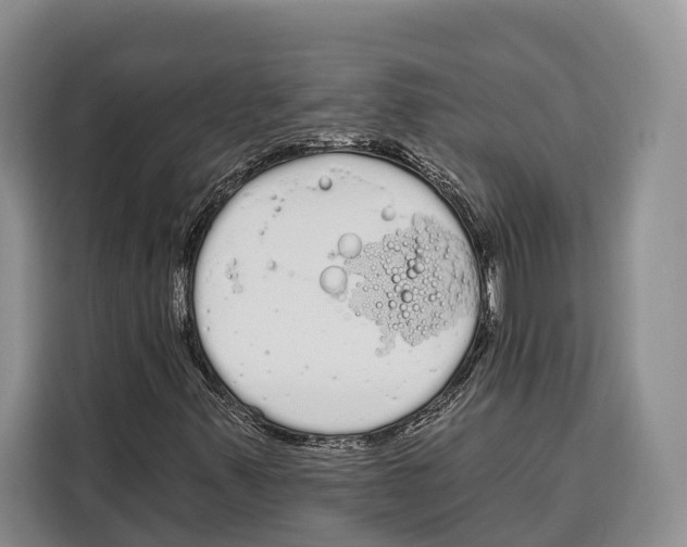 X0000115111347200911241319